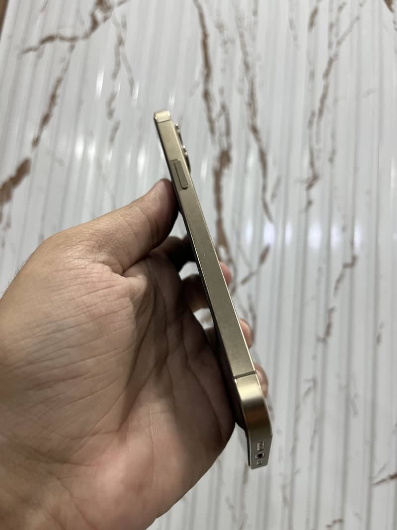 iPhone 12 Pro Max 2