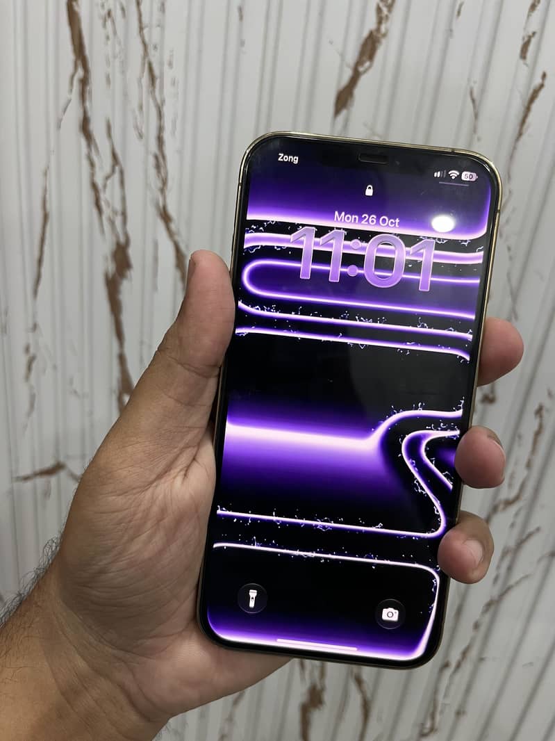 iPhone 12 Pro Max 9