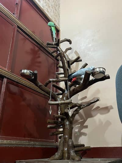 aesthetic parrot stand