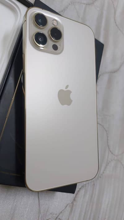 Apple iPhone 12 Pro Max