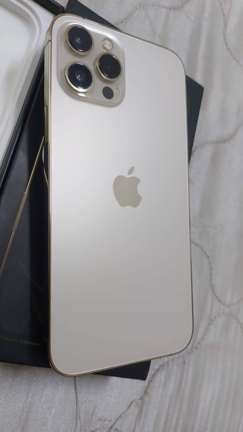 Apple iPhone 12 Pro Max 0