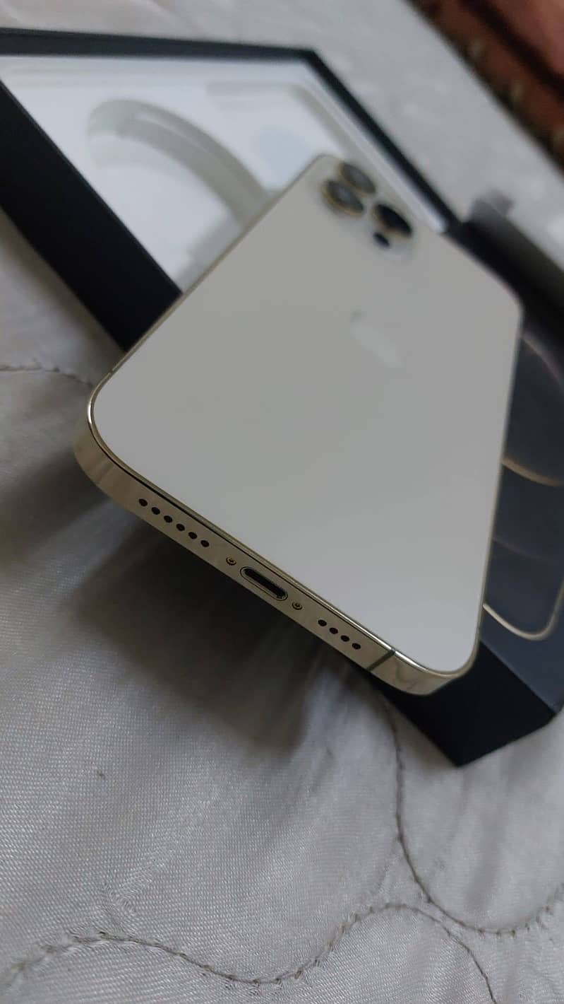 Apple iPhone 12 Pro Max 1