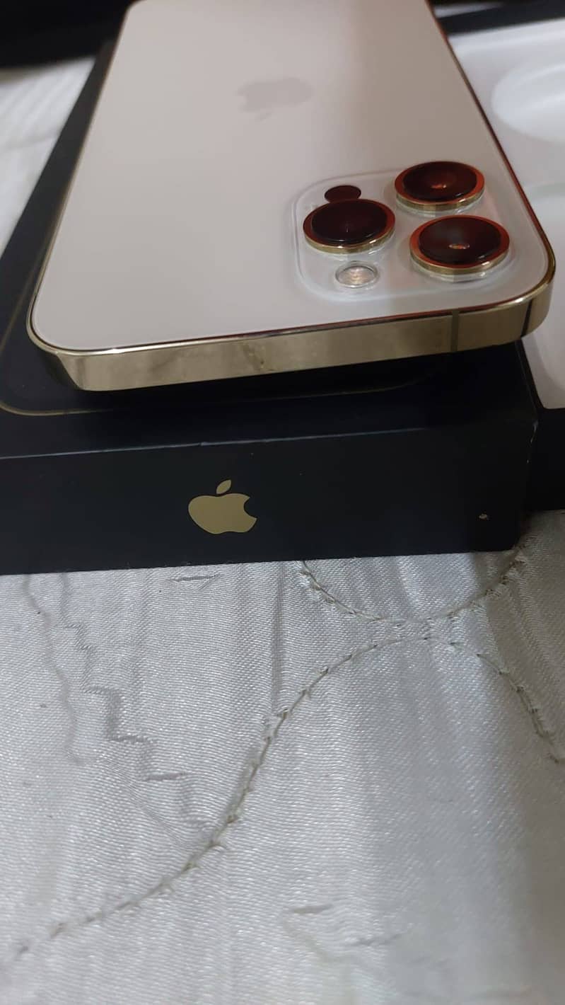 Apple iPhone 12 Pro Max 2