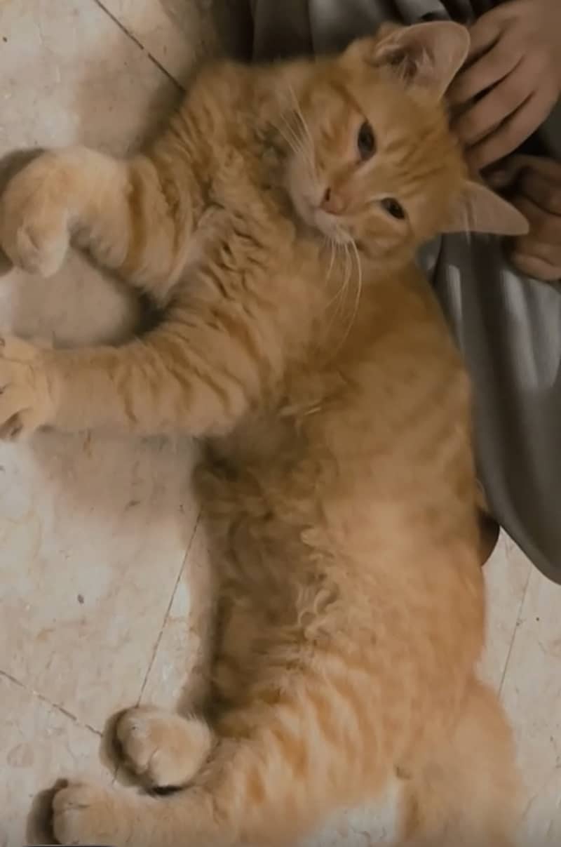 6 months age 1