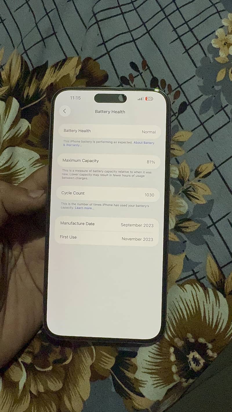 Apple iPhone 15 Pro Max 17