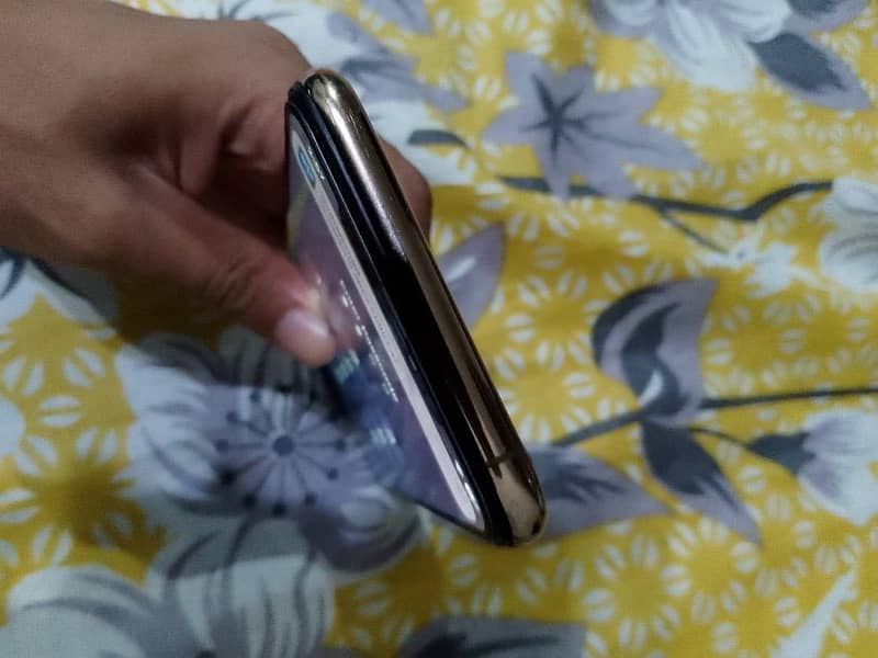 Apple iPhone XS Max 1