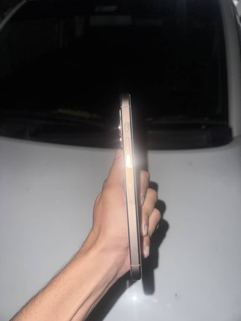 Apple iPhone 16 Pro Max 8
