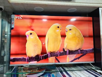 TCL 75 inch LED TV New box pack 4k 3 year warranty O3O54498626