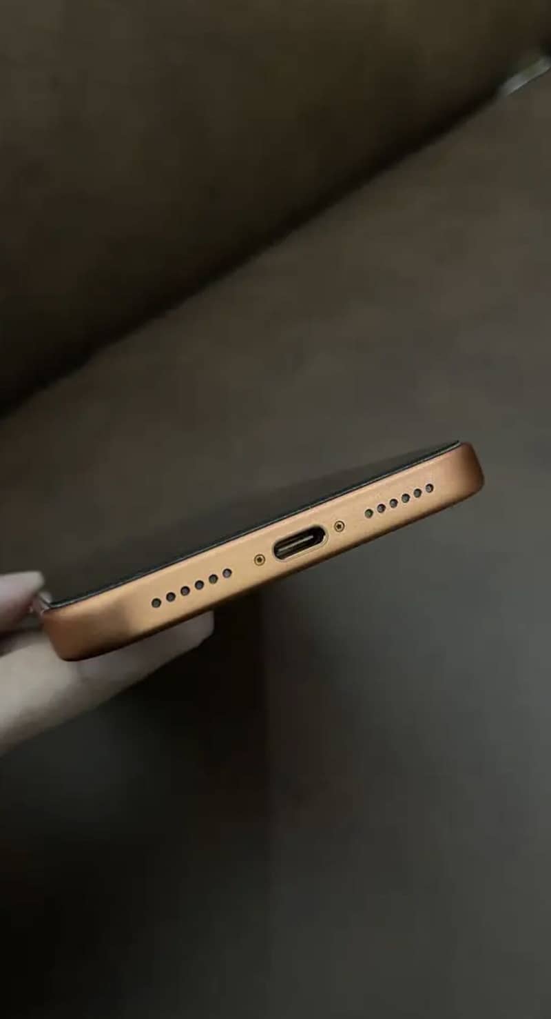 Apple iPhone 17 Pro Max 3