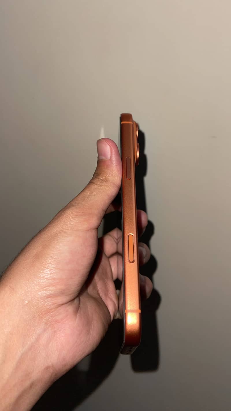 Apple iPhone 17 Pro Max 1