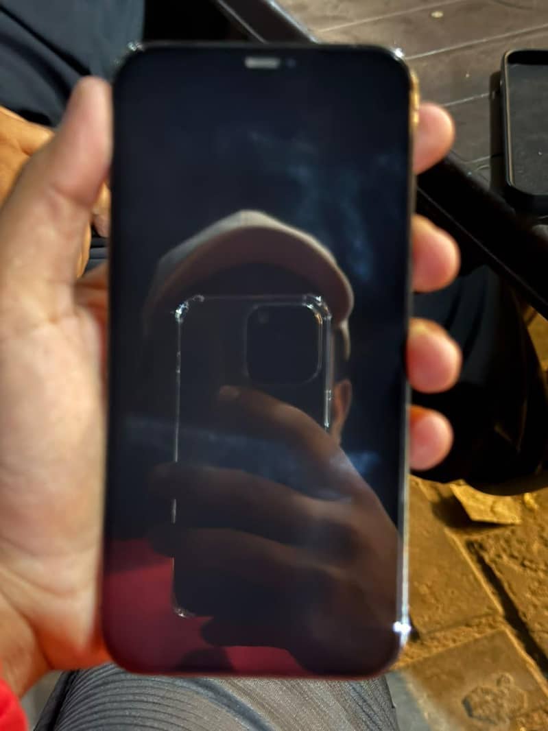 Apple iPhone 12 Pro Max 1
