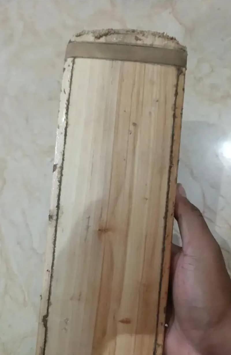SG Bat 1