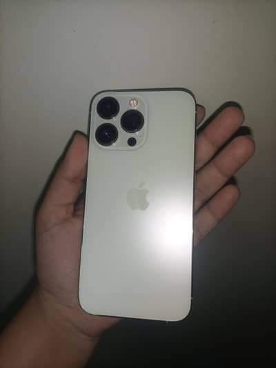 Apple iPhone 13 Pro