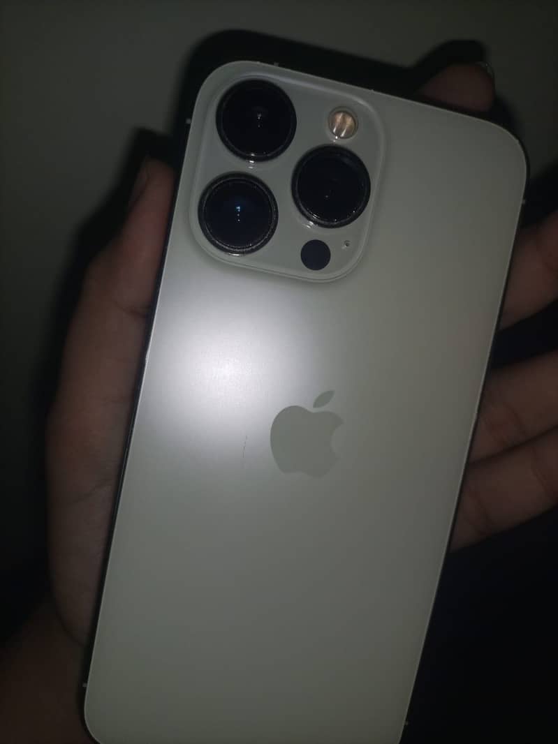 Apple iPhone 13 Pro 1