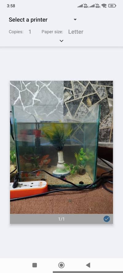 Aquarium for sale