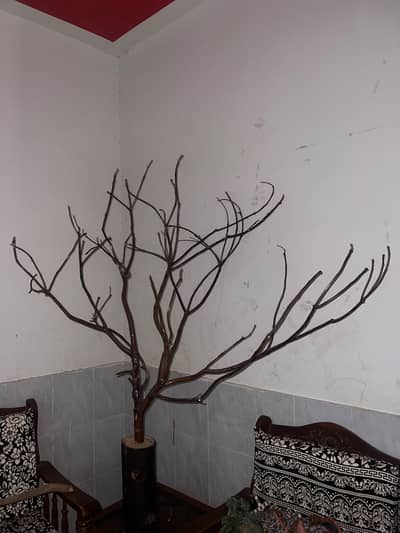 Decorative Wooden Tree Branch – Unique Home & Office Showpiece