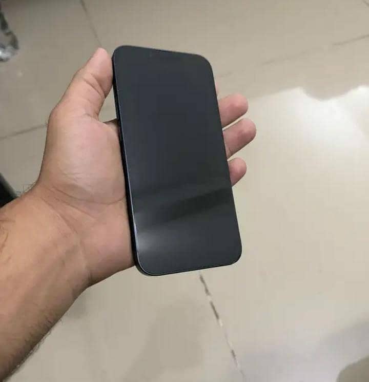 Apple iPhone 13 0