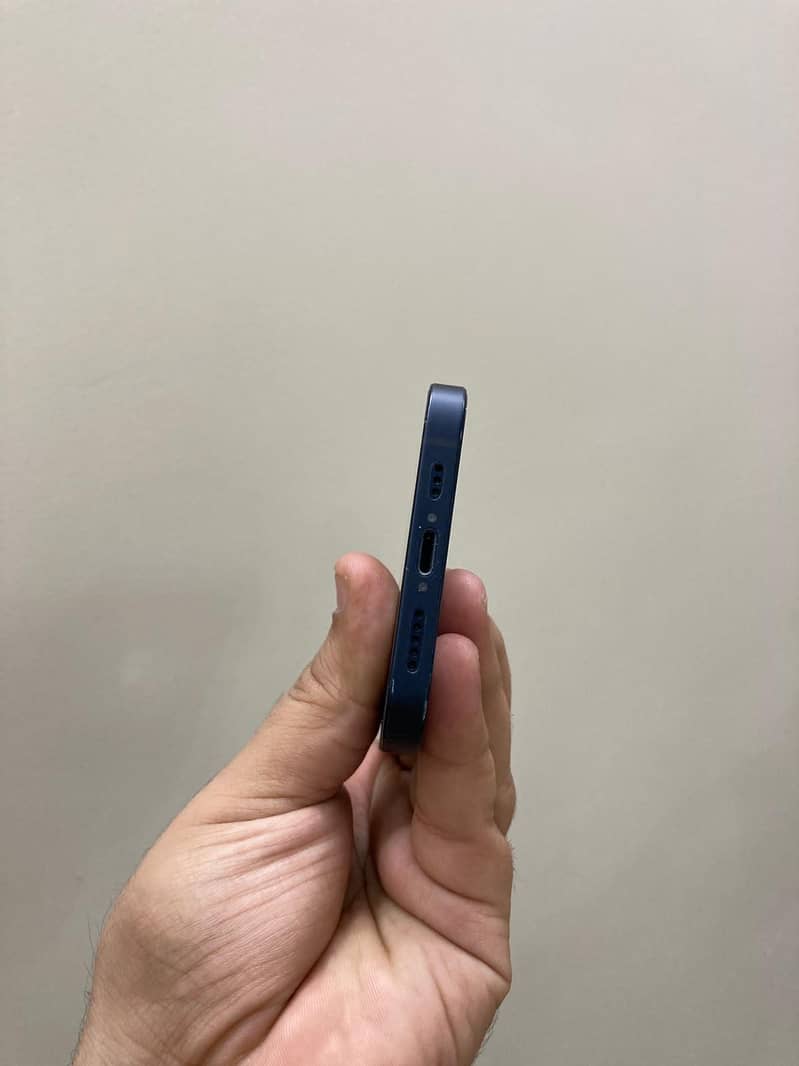 Apple iPhone 12 1