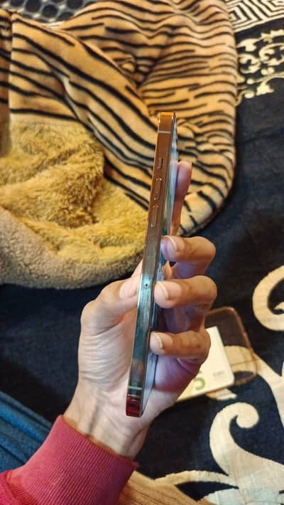 Apple iPhone 12 Pro Max
