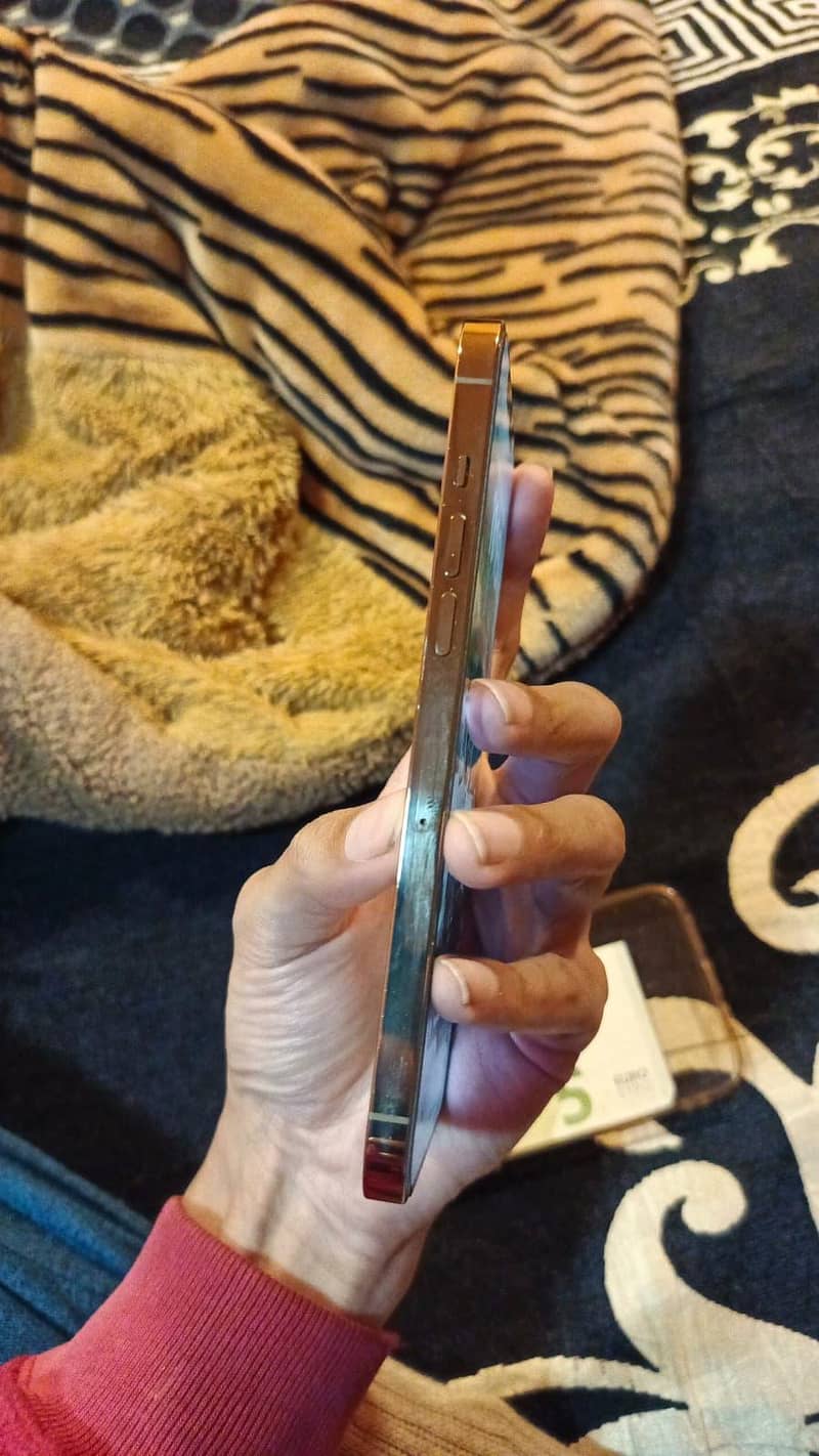 Apple iPhone 12 Pro Max 0