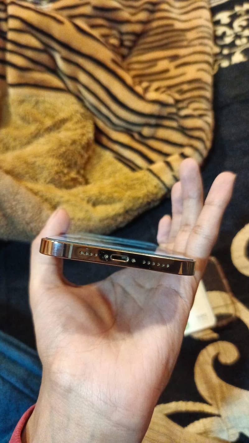 Apple iPhone 12 Pro Max 1