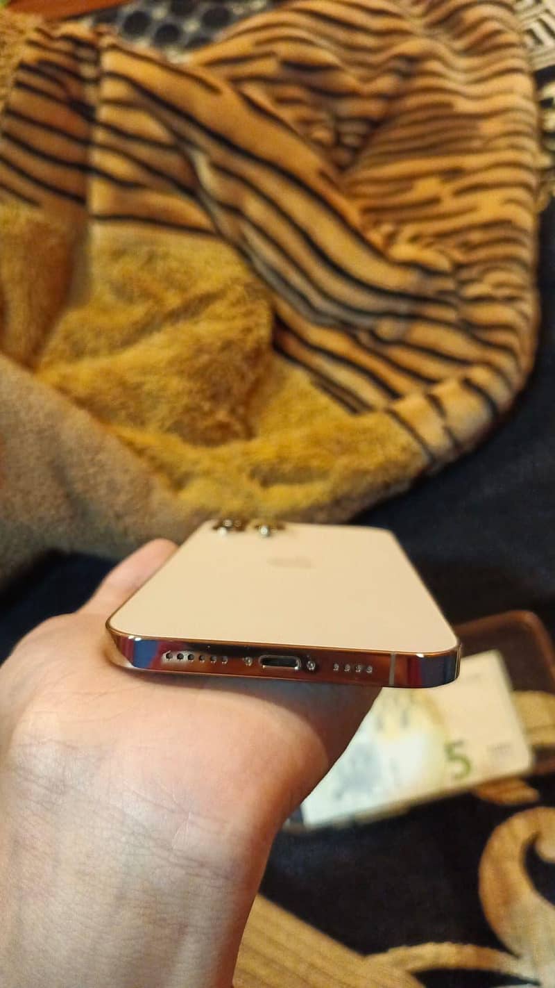 Apple iPhone 12 Pro Max 2