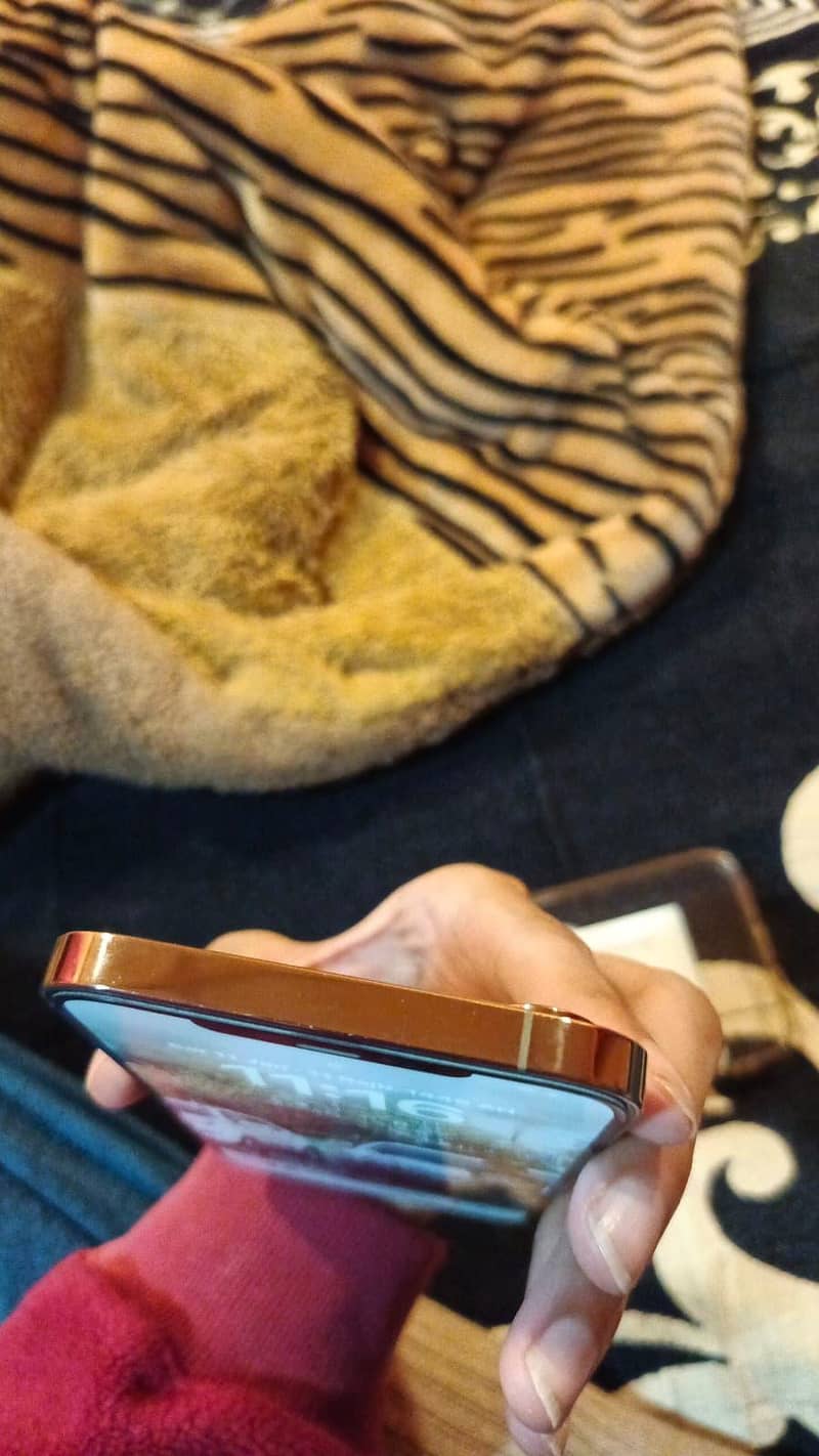 Apple iPhone 12 Pro Max 3