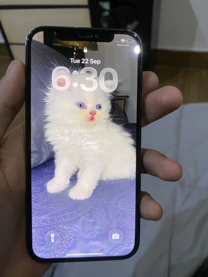 Apple iPhone 12 Pro 1