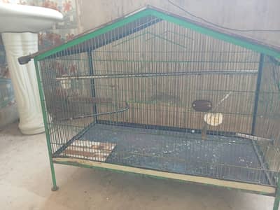 colony bird cage