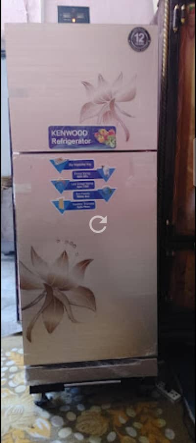 Kenwood refrigerator all ok ha no issue