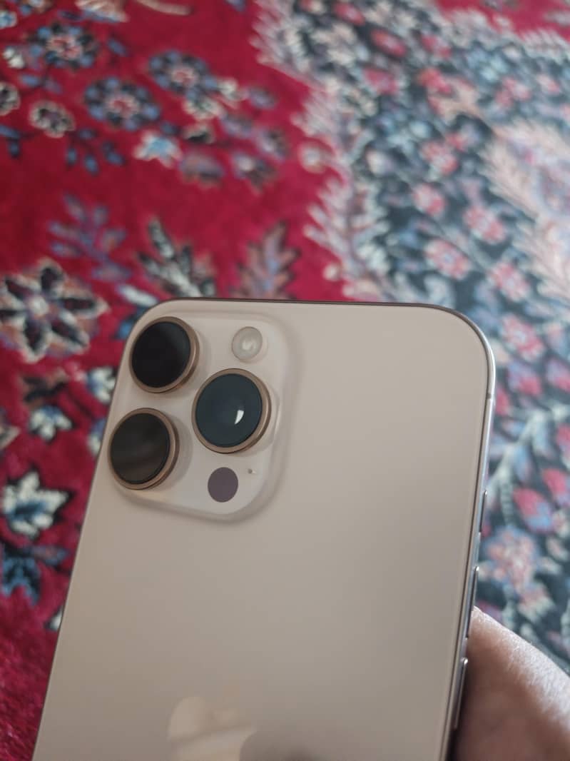 Apple iPhone 16 Pro Max 1