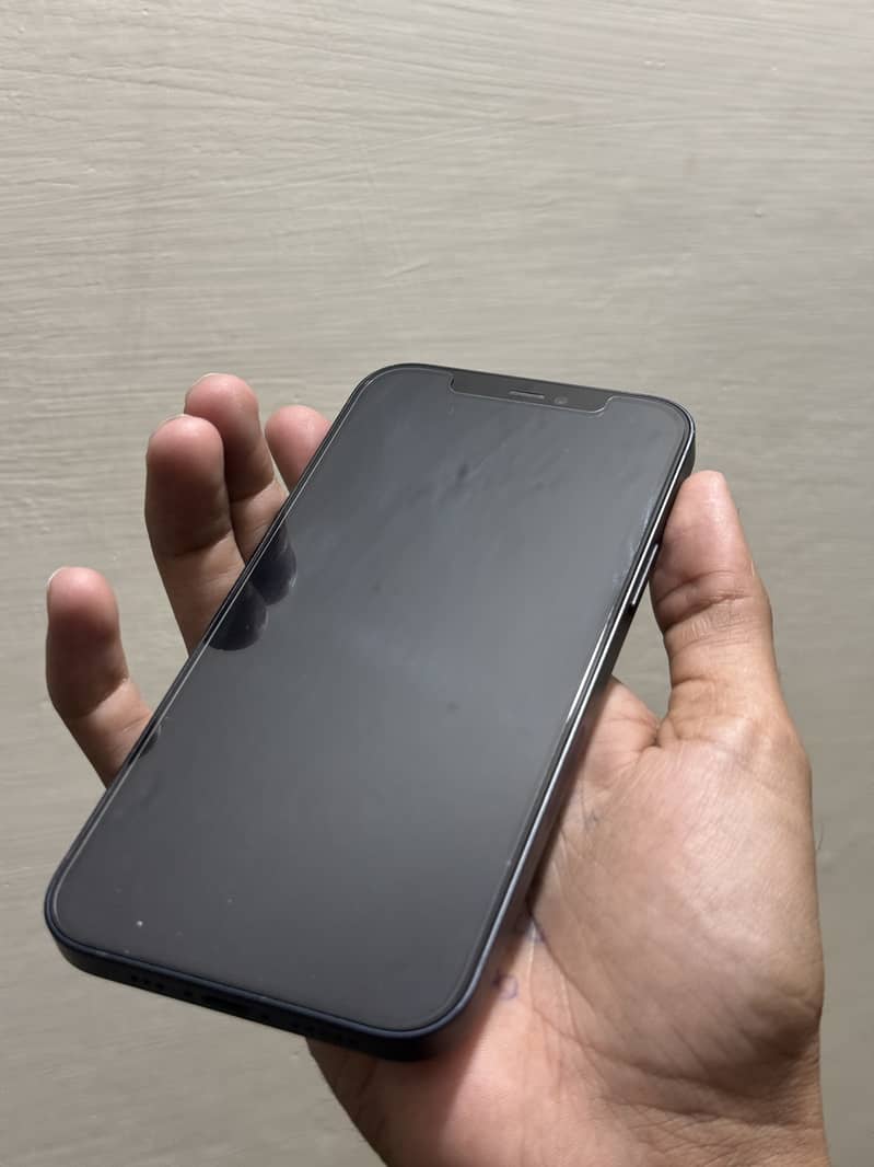 Apple iPhone 12 1