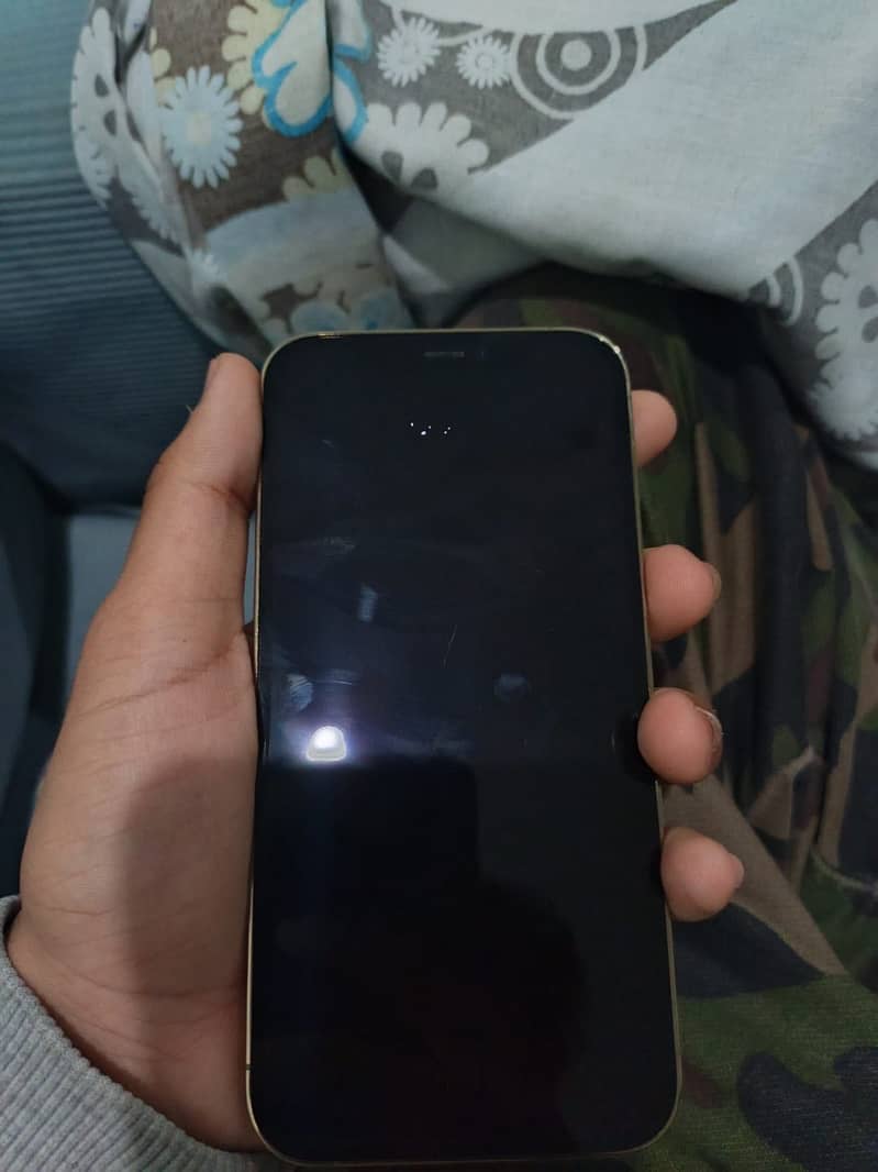 Apple iPhone 12 Pro 3