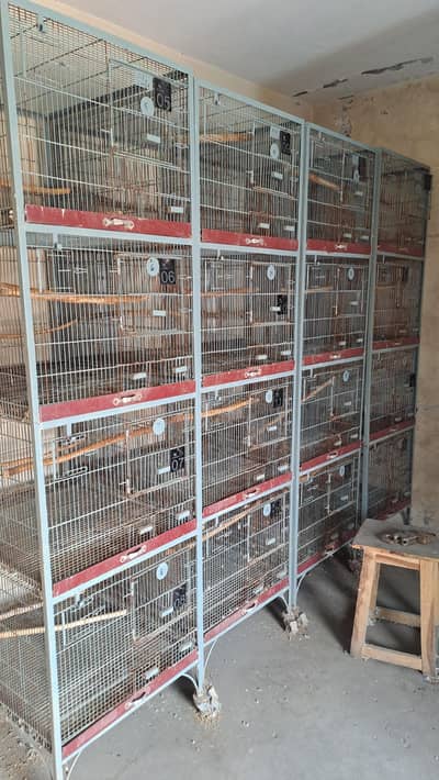 Bird Cages for Sale