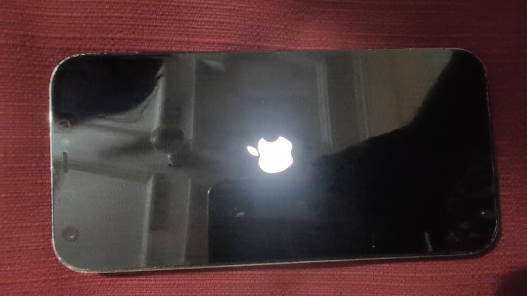 Apple iPhone 12 Pro Max 1