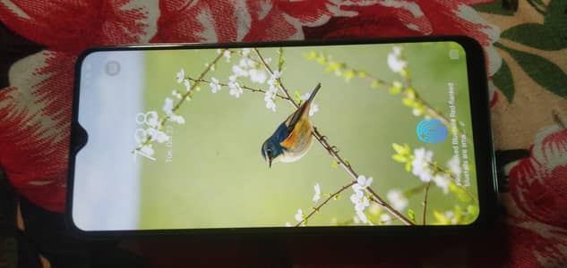 vivo s1