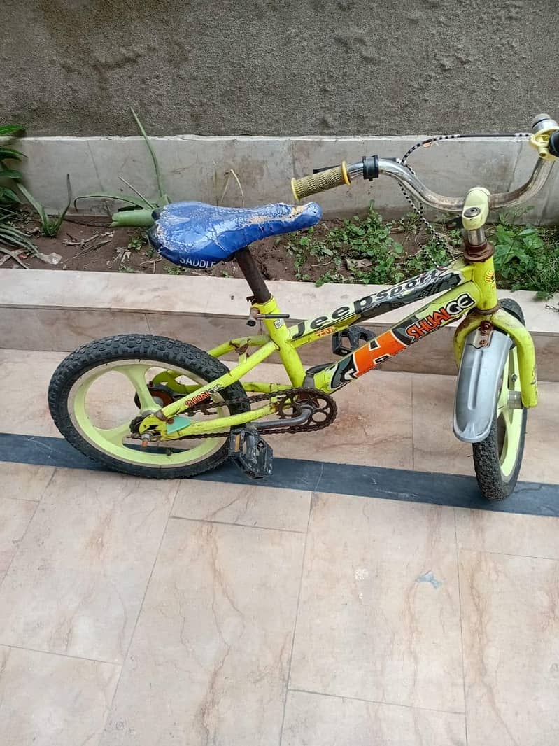 Kids cycl 3
