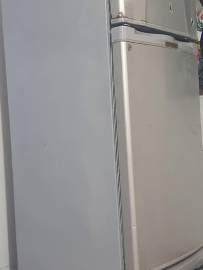 dowlance fridge
