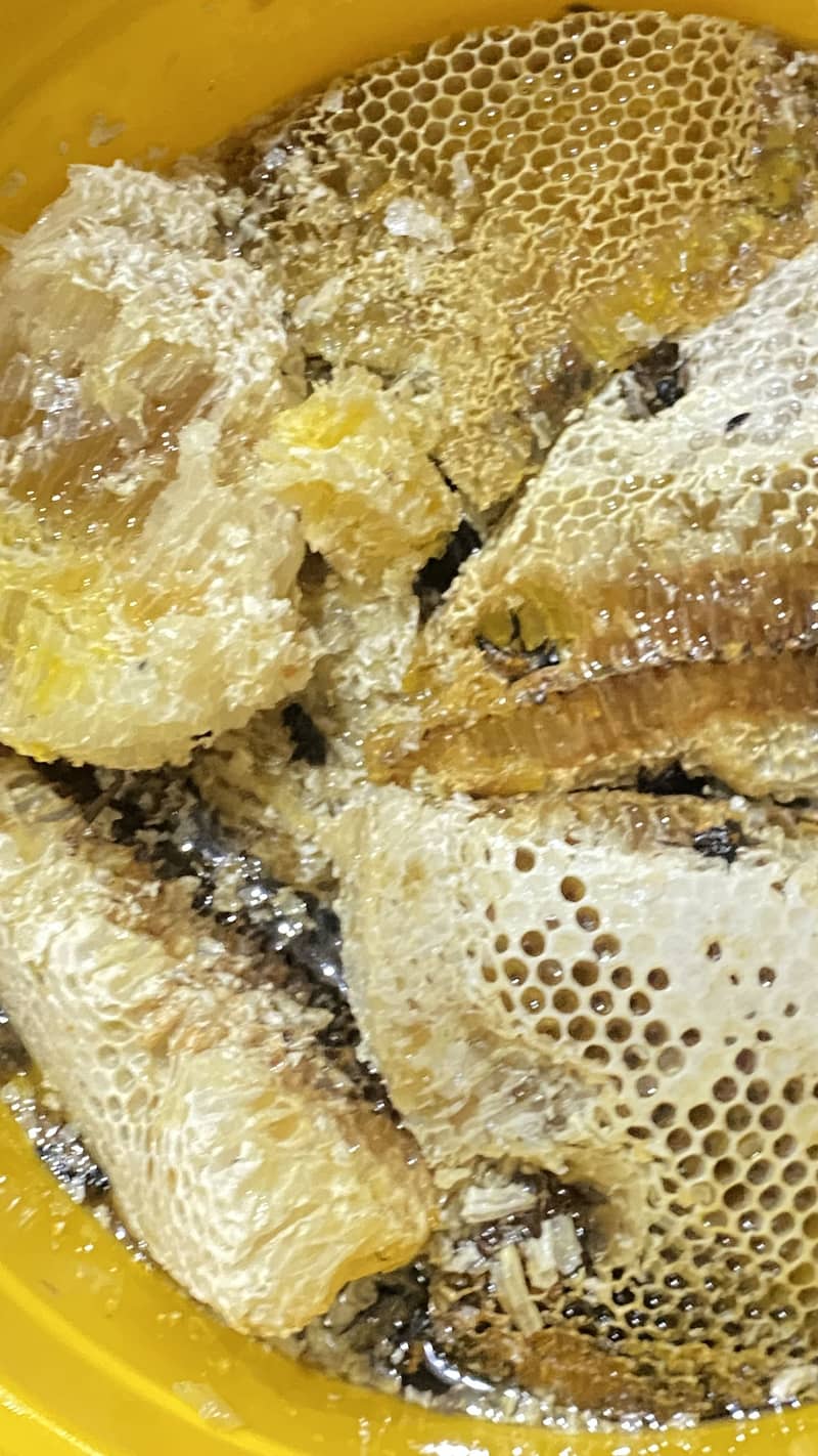 Honey 1