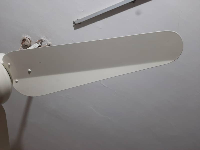 AC DC Fan 4
