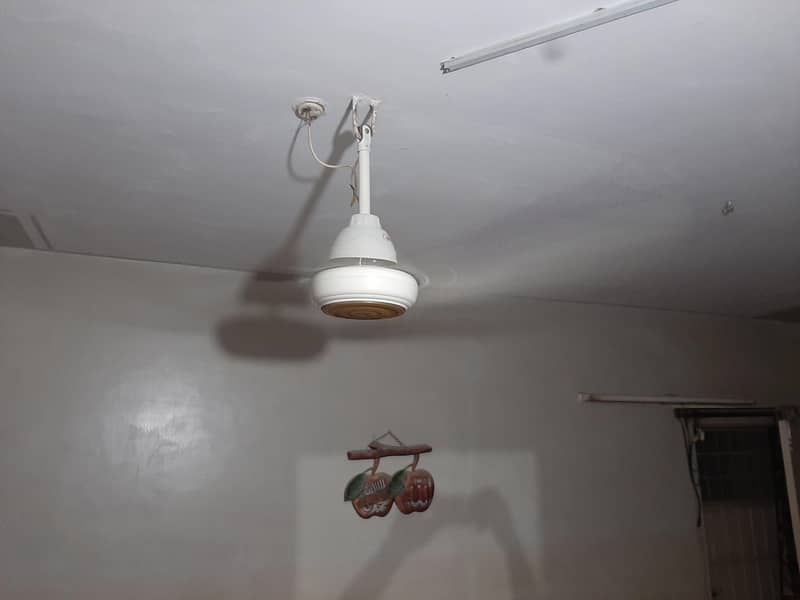 AC DC Fan 6