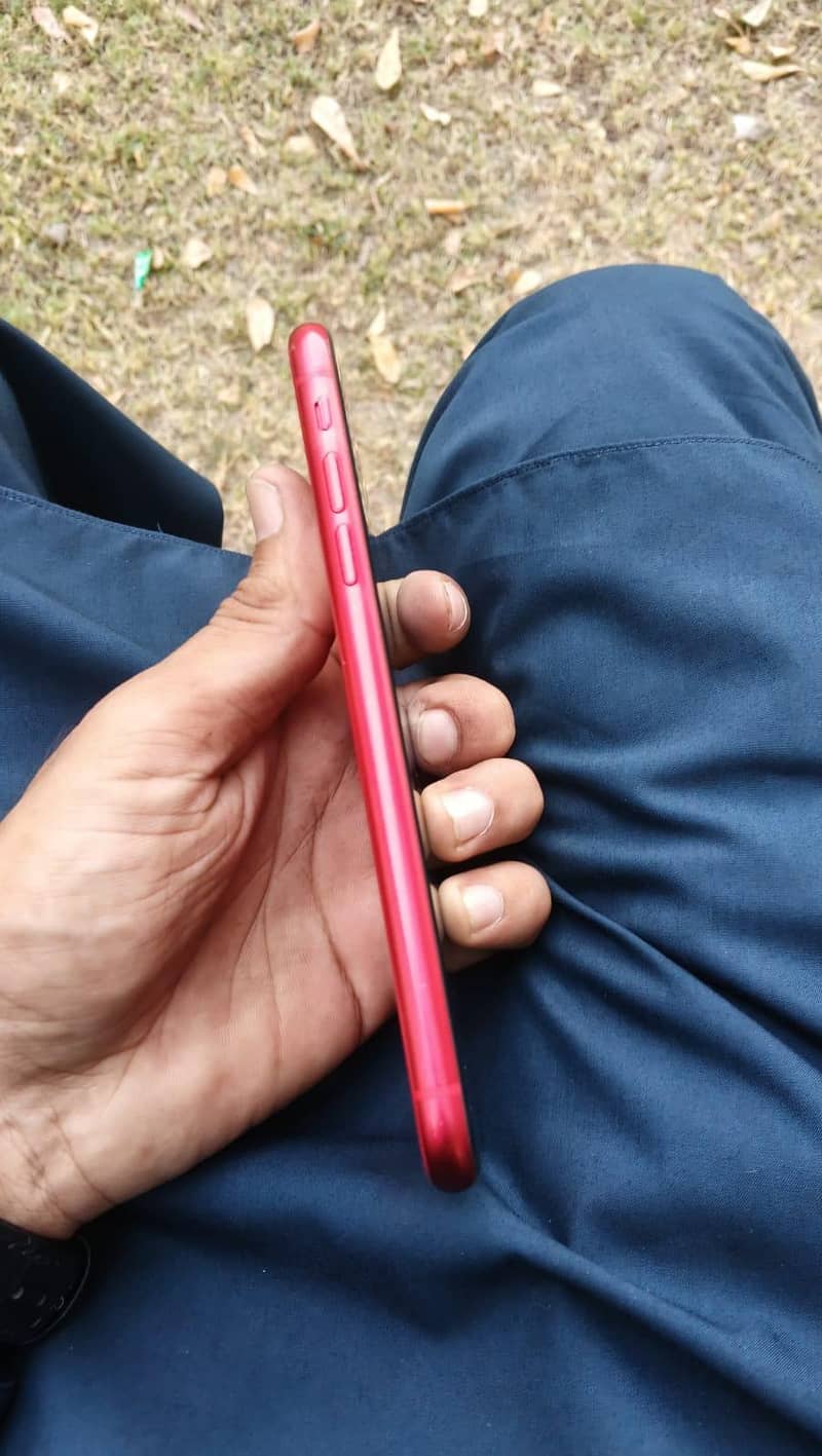 Apple iPhone 11 0