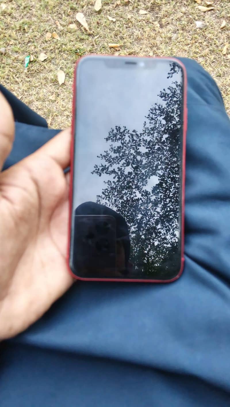 Apple iPhone 11 2