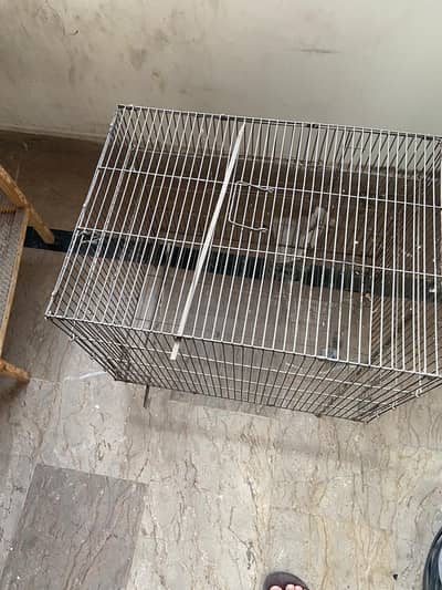 Bird Cages