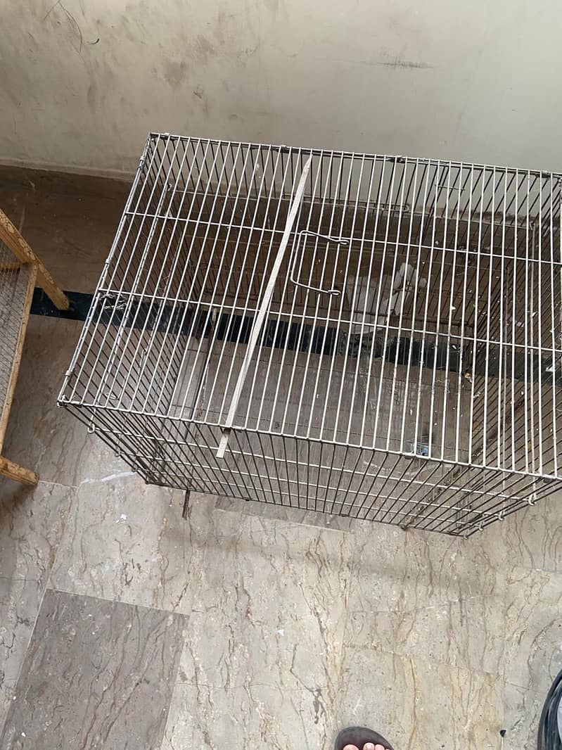 Bird Cages 0