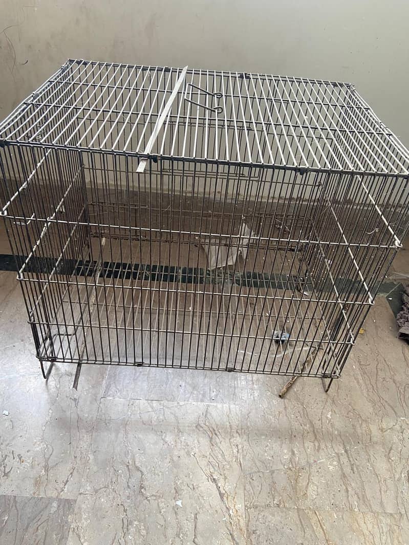 Bird Cages 1
