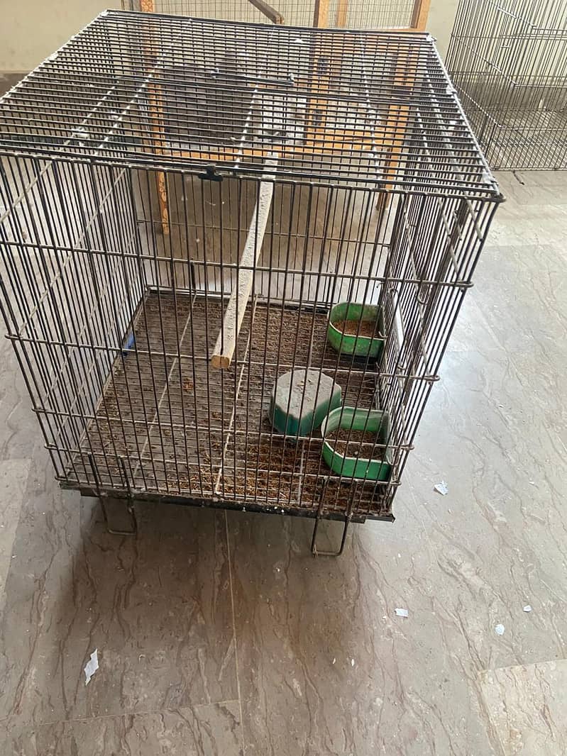 Bird Cages 2
