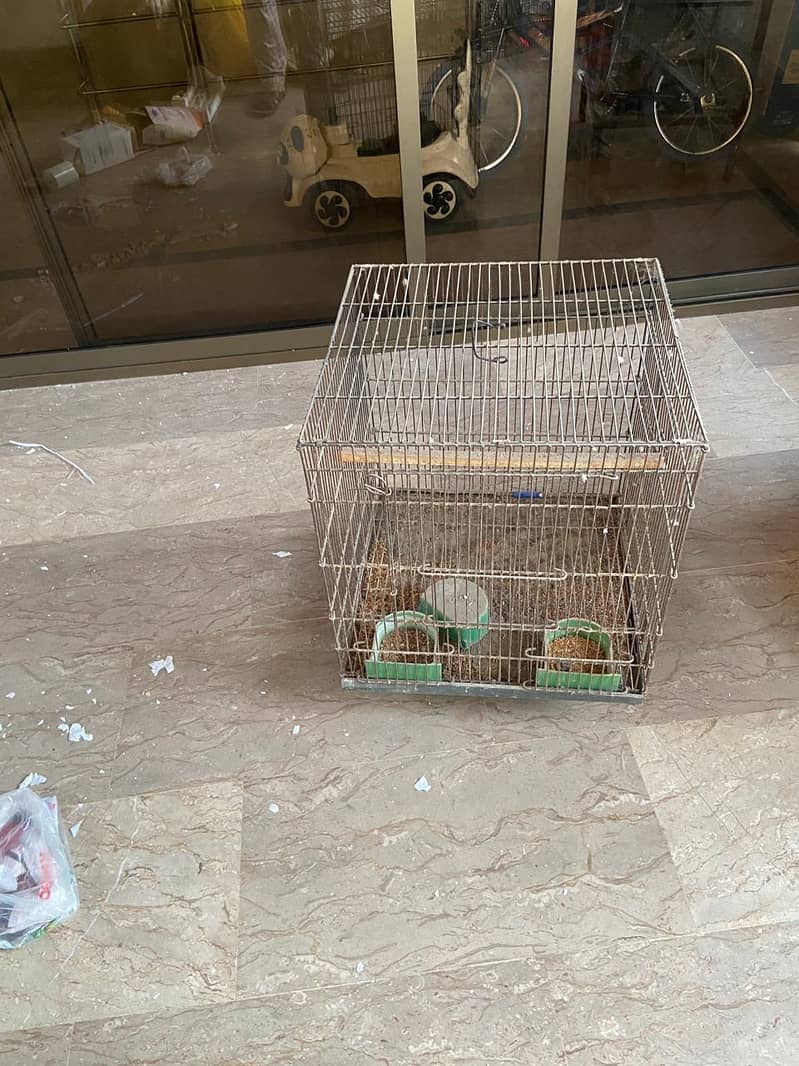 Bird Cages 3