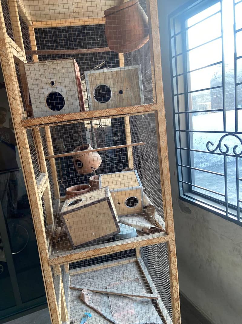 Bird Cages 4