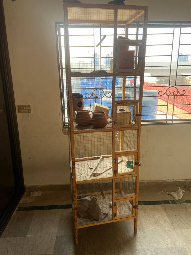 Bird Cages 5